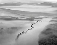 573 - INTO THE THICKENING FOG - MUKHERJI SP - india <div